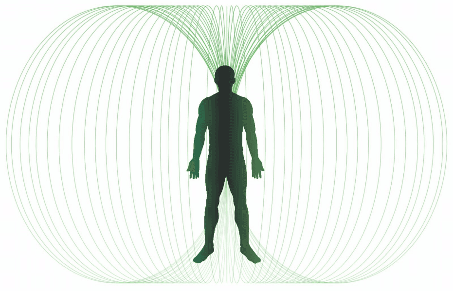 Diagram of the human bio-field and the magnetic and bioresonance screening we use